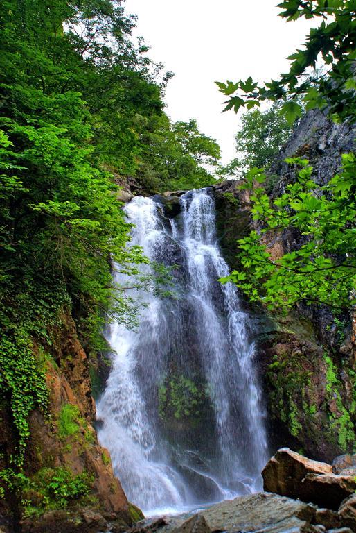 Green Thermal Hotel Yalova  Kültér fotó